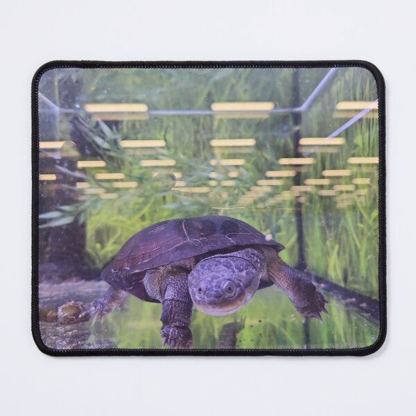 Item preview, Chelonian ElitebyElise designed and sold by ElitebyElise.