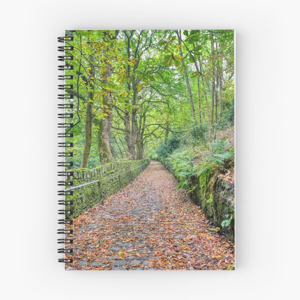Item preview, Pathway to Serenity designed and sold by Scott Weeding.