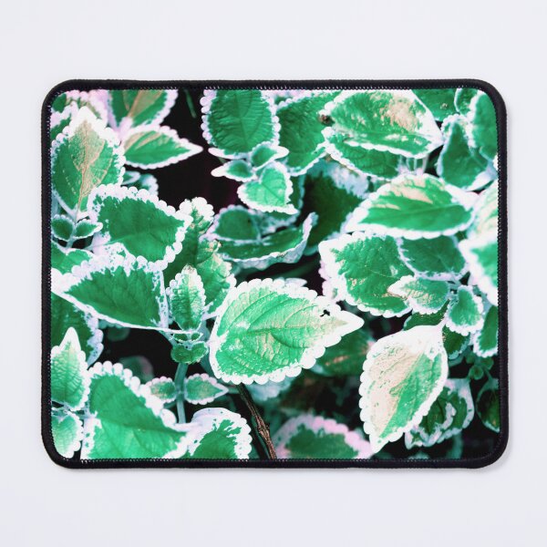 Item preview, Green Leaf photographic design designed and sold by ZengoClub.