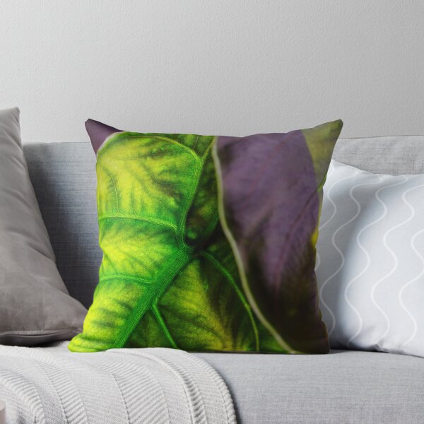 Item preview, Foto única y orgánica de Alocasia azlanii designed and sold by AvonPerception.