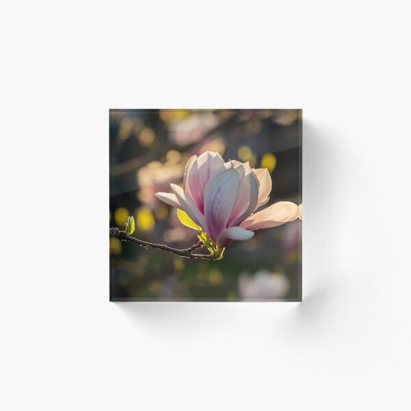Item preview, magnolia flower designed and sold by mike-pellinni.