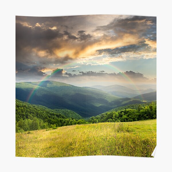 meadow in high mountains Poster