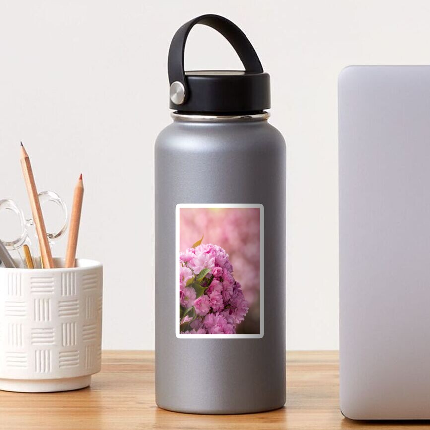 pink blossomed sakura flowers Sticker