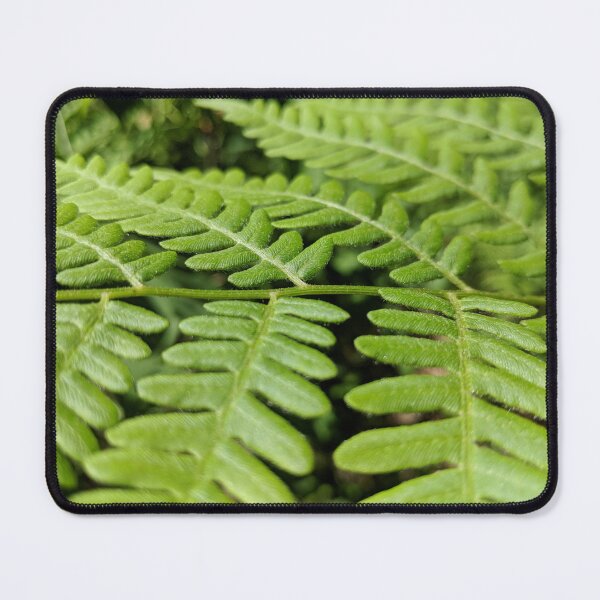 Item preview, The Fern designed and sold by Jkund19.