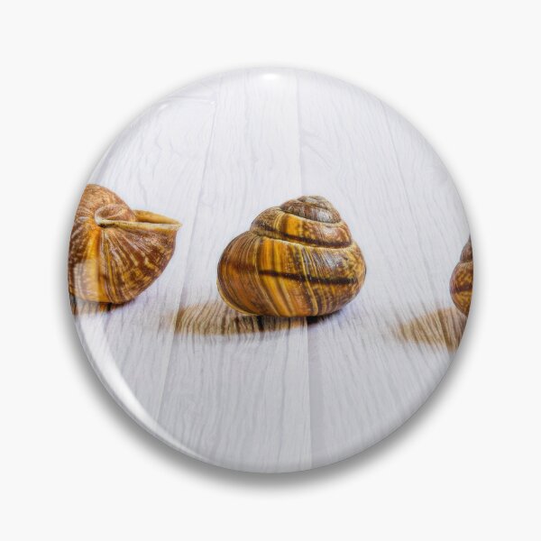 Item preview, Conch shells designed and sold by Veikko  Suikkanen.