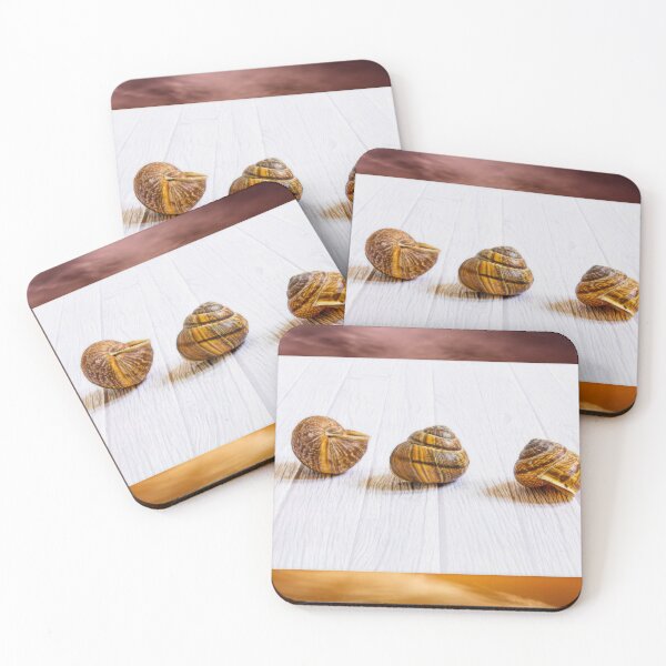 Item preview, Conch shells designed and sold by Veikko  Suikkanen.