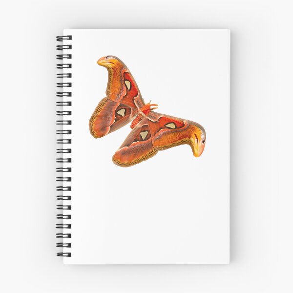 Item preview, atlas moth designed and sold by MangoSeal.