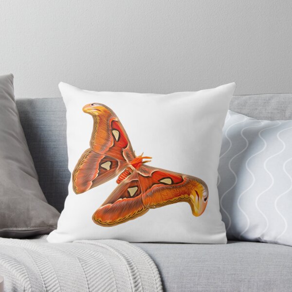 Item preview, atlas moth designed and sold by MangoSeal.