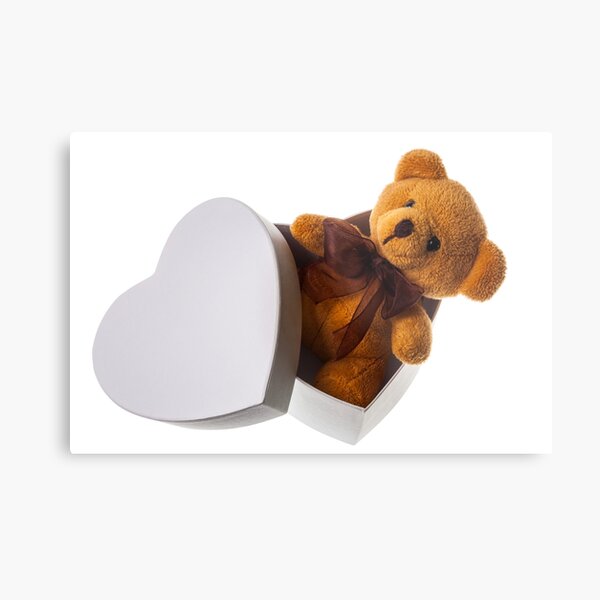 bear in heart box Metal Print