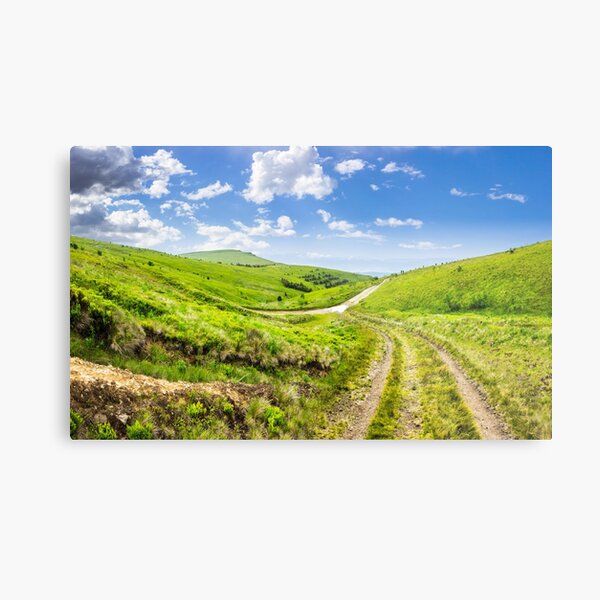path through highland meadows Metal Print