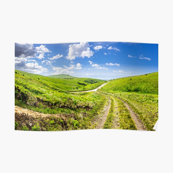 path through highland meadows Poster