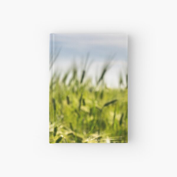red poppy in the wheat field Hardcover Journal