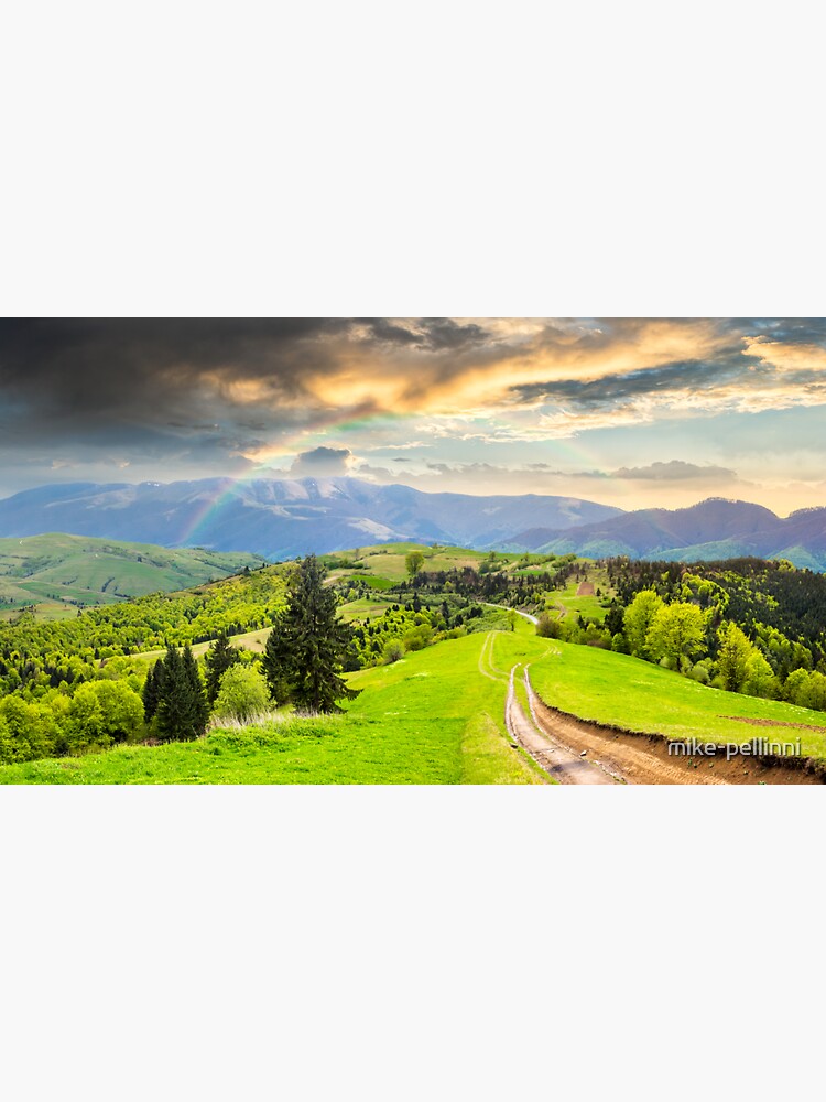 road through the meadow on hillside by mike-pellinni