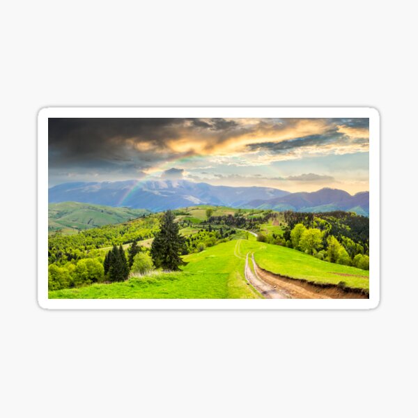 road through the meadow on hillside Sticker