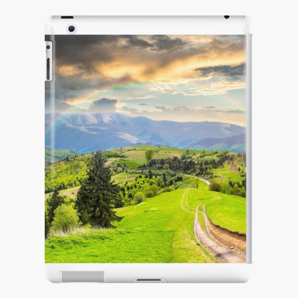road through the meadow on hillside iPad Snap Case