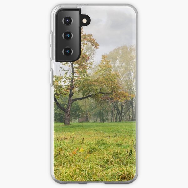 cold fog on in park Samsung Galaxy Soft Case