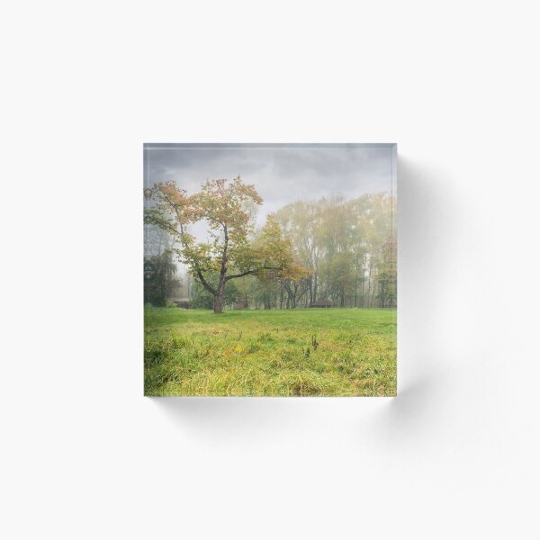 cold fog on in park Acrylic Block
