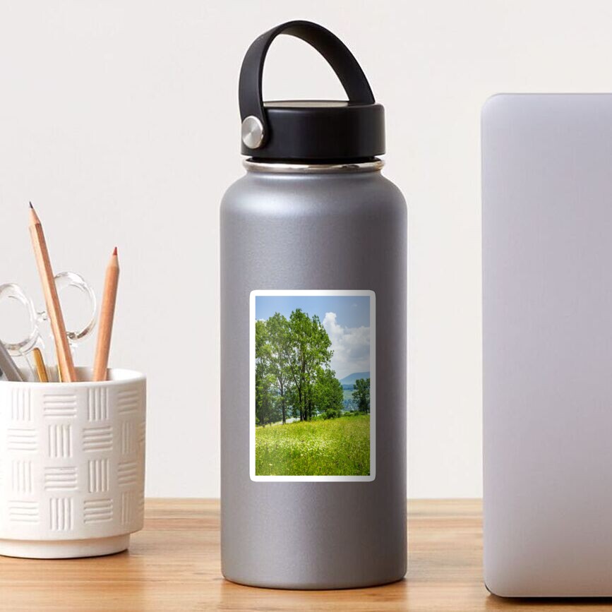forest glade on hillside Sticker