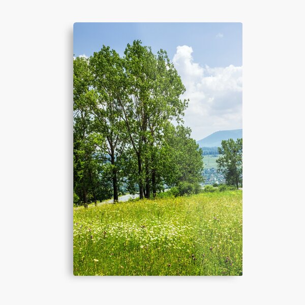 forest glade on hillside Metal Print