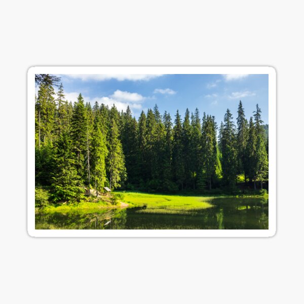 bower on the lake in forest Sticker