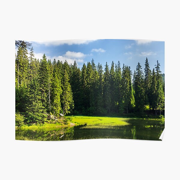 bower on the lake in forest Poster