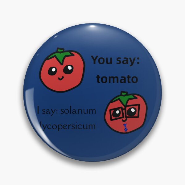 Item preview, Sanders Sides tomato - solanum lycopersicum  designed and sold by Shirleydocious.
