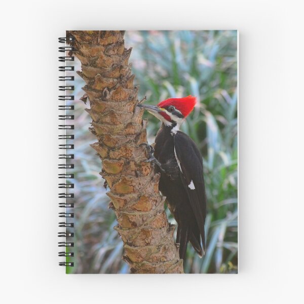 Item preview, Carpintero Pileated en Palm Trunk designed and sold by Karen Peron.