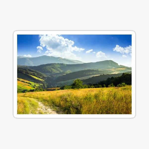 path on hillside meadow in mountaincomposite rural landscape. meadow path on hillside with trees near the forest in high mountains Sticker