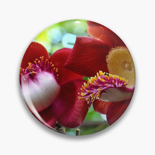 Item preview, Cambodia - Phnom Penh Flower designed and sold by franck380.