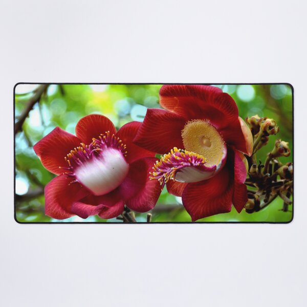 Artikelvorschau, Kambodscha - Phnom Penh Blume entworfen und verkauft von franck380.
