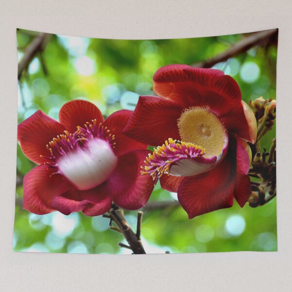 Item preview, Cambodia - Phnom Penh Flower designed and sold by franck380.