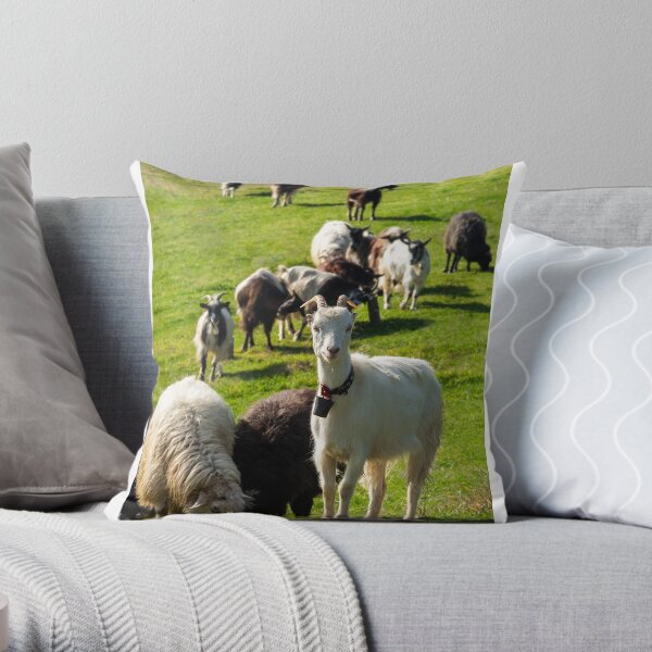 portrait of a white goat with a bell on a glade Throw Pillow