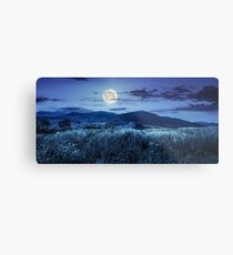 meadow with flowers in mountains at night Metal Print