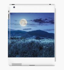 meadow with flowers in mountains at night iPad Case/Skin