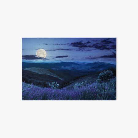 wild flowers on the mountain top at night Art Board Print