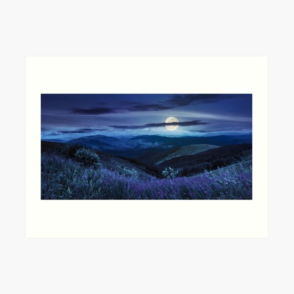 wild flowers on the mountain top at night Art Print