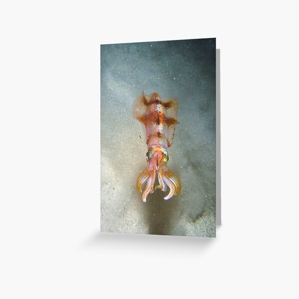 Kraken Greeting Card