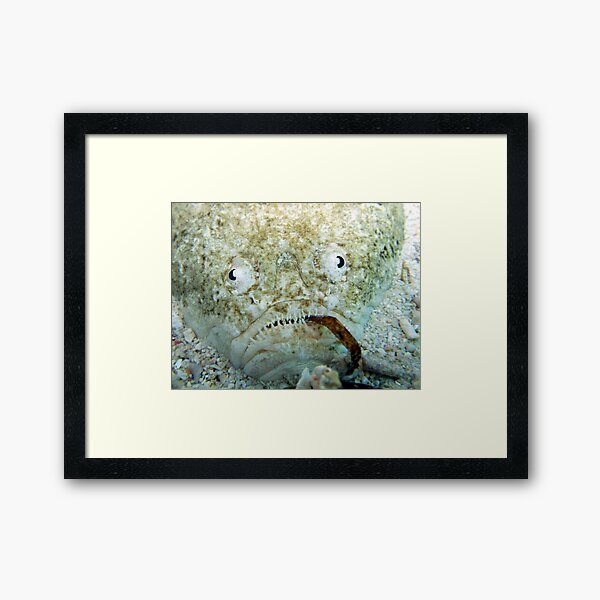 Stargazer Framed Art Print