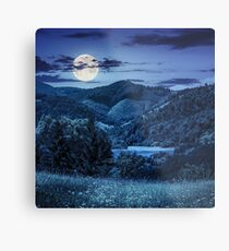 pine trees near meadow in mountains at night Metal Print