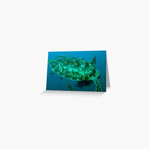 Green turtle shell Greeting Card