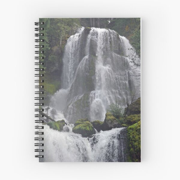 Aperçu de l'œuvre Upper Fall Creek Falls créée et vendue par VikingVisual.