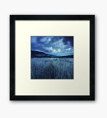 meadow with high grass in mountains at night Framed Print