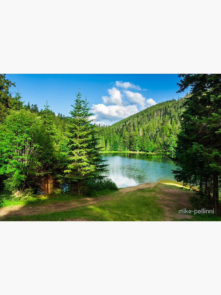 lake near the mountain in pine forest by mike-pellinni