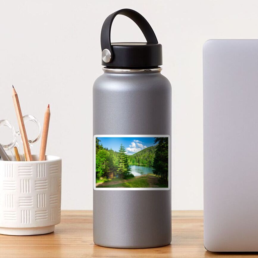 lake near the mountain in pine forest Sticker