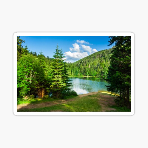 lake near the mountain in pine forest Sticker