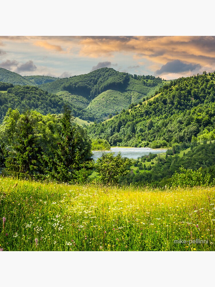 pine trees near meadow in mountains by mike-pellinni