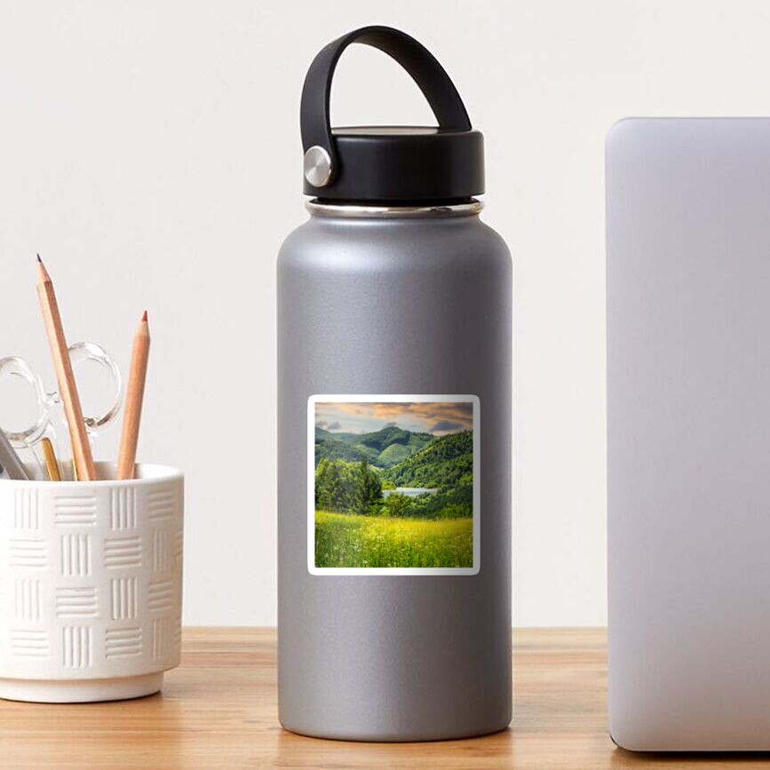 pine trees near meadow in mountains Sticker