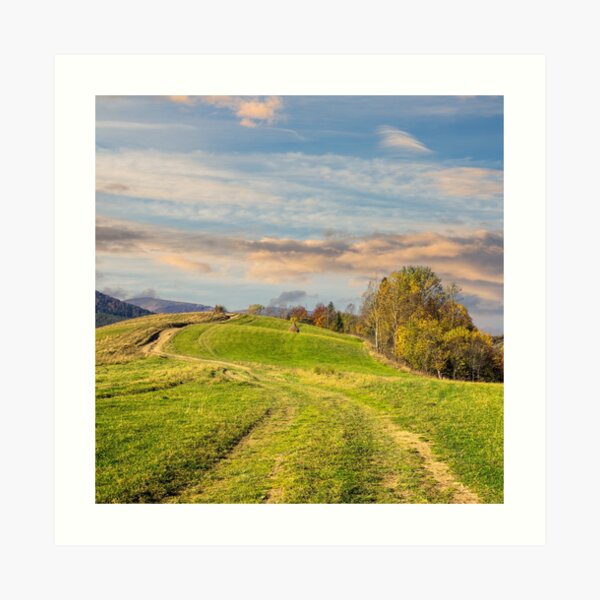 path on hillside meadow in mountain Art Print