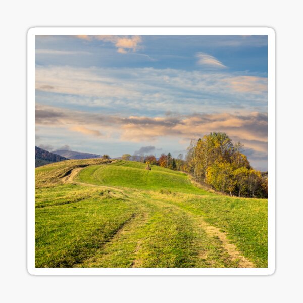 path on hillside meadow in mountain Sticker