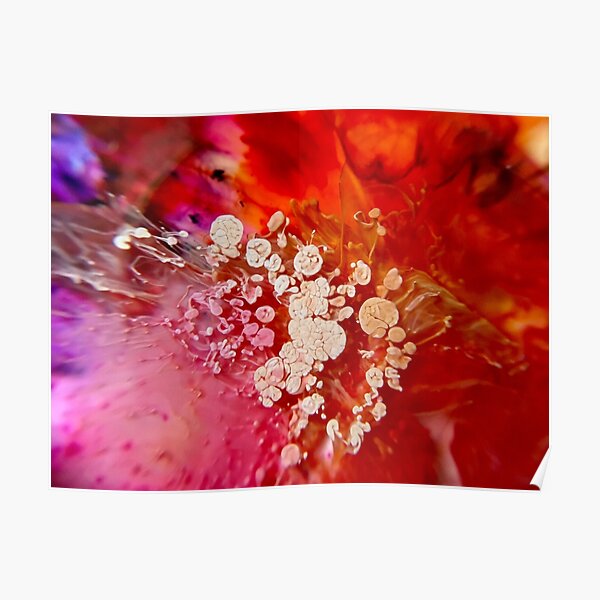 Macro World - Red Poster